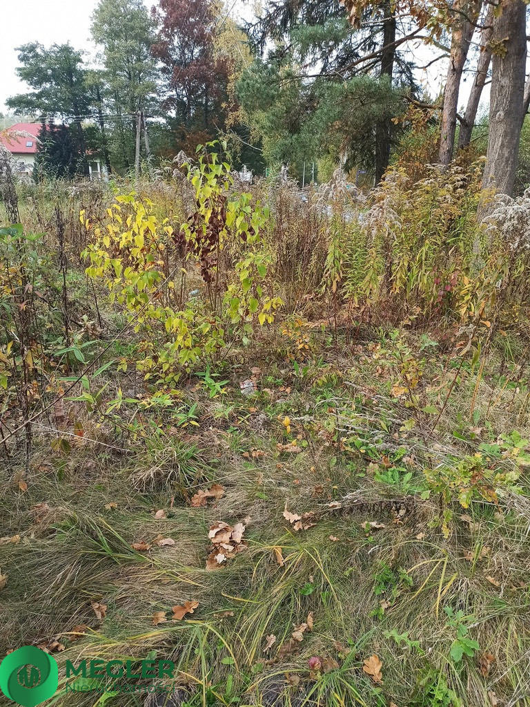 Działka Sprzedaż Radonie