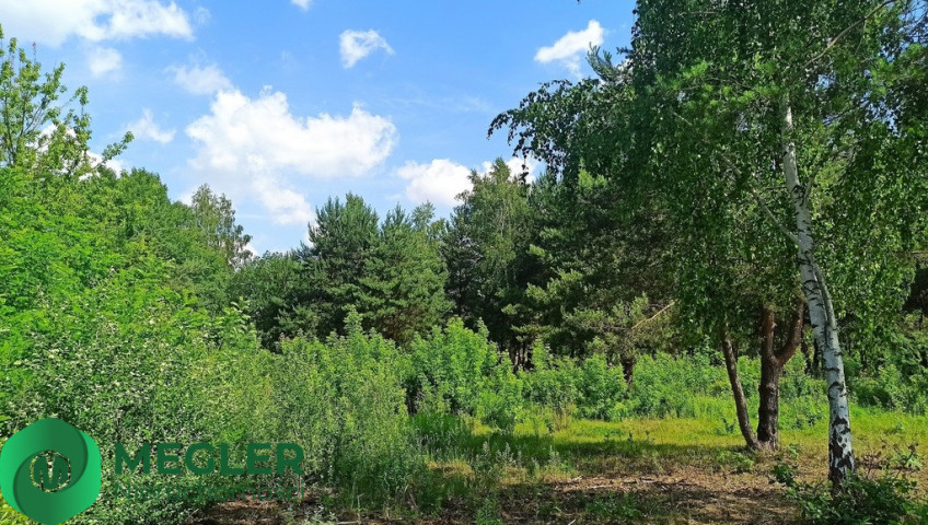 Działka Sprzedaż Ojrzanów